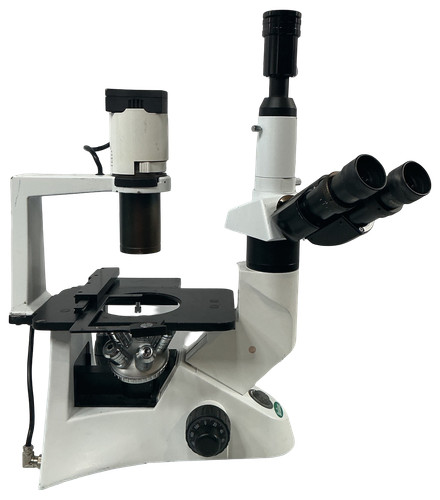 Microscopio trinoculare - microscopio,